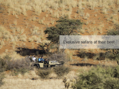 Kalahari Safari, FiveZero Safaris