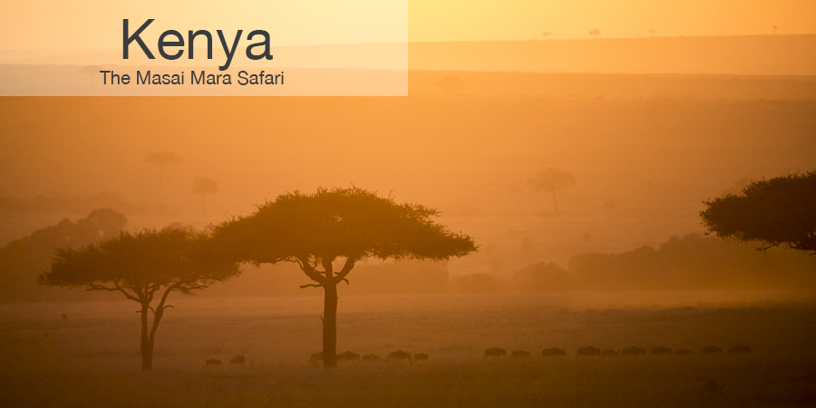 FiveZero Safaris, safari, africa, kenya, great migration, masai mara