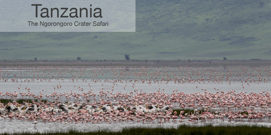 FiveZero Safaris, safari, africa, tanzania, ngorongoro crater